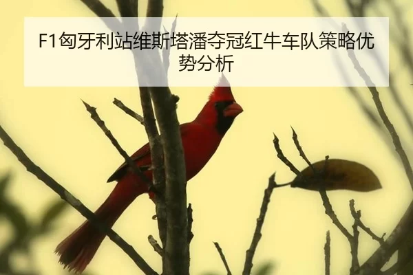 F1匈牙利站维斯塔潘夺冠红牛车队策略优势分析